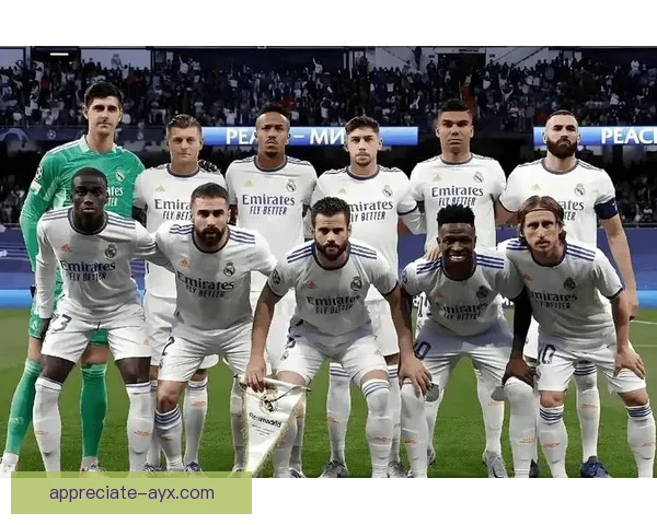 皇家马德里新赛季阵容调整曝光 主力球员伤情恢复情况引关注