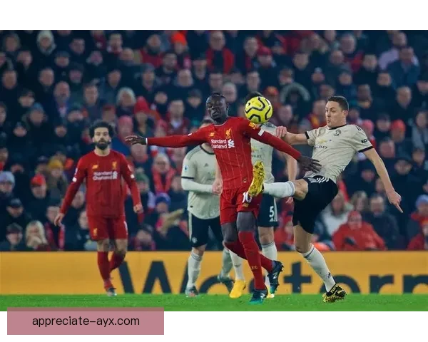 红魔荣耀与重建之路曼联俱乐部历史传承与未来崛起全景解析